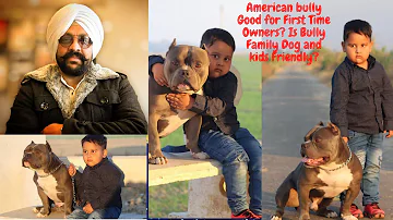 Which is the best dog for first time owners?