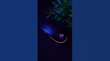 Ultimate BUDGET Mouse!