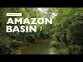 What is the amazon basin