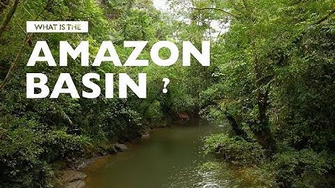What is the Amazon Basin?