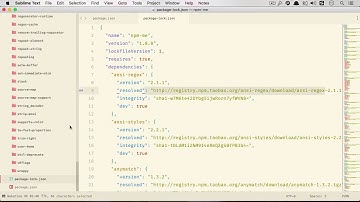 【教程（中文）】NodeJS入门教程-7 NPM （五）