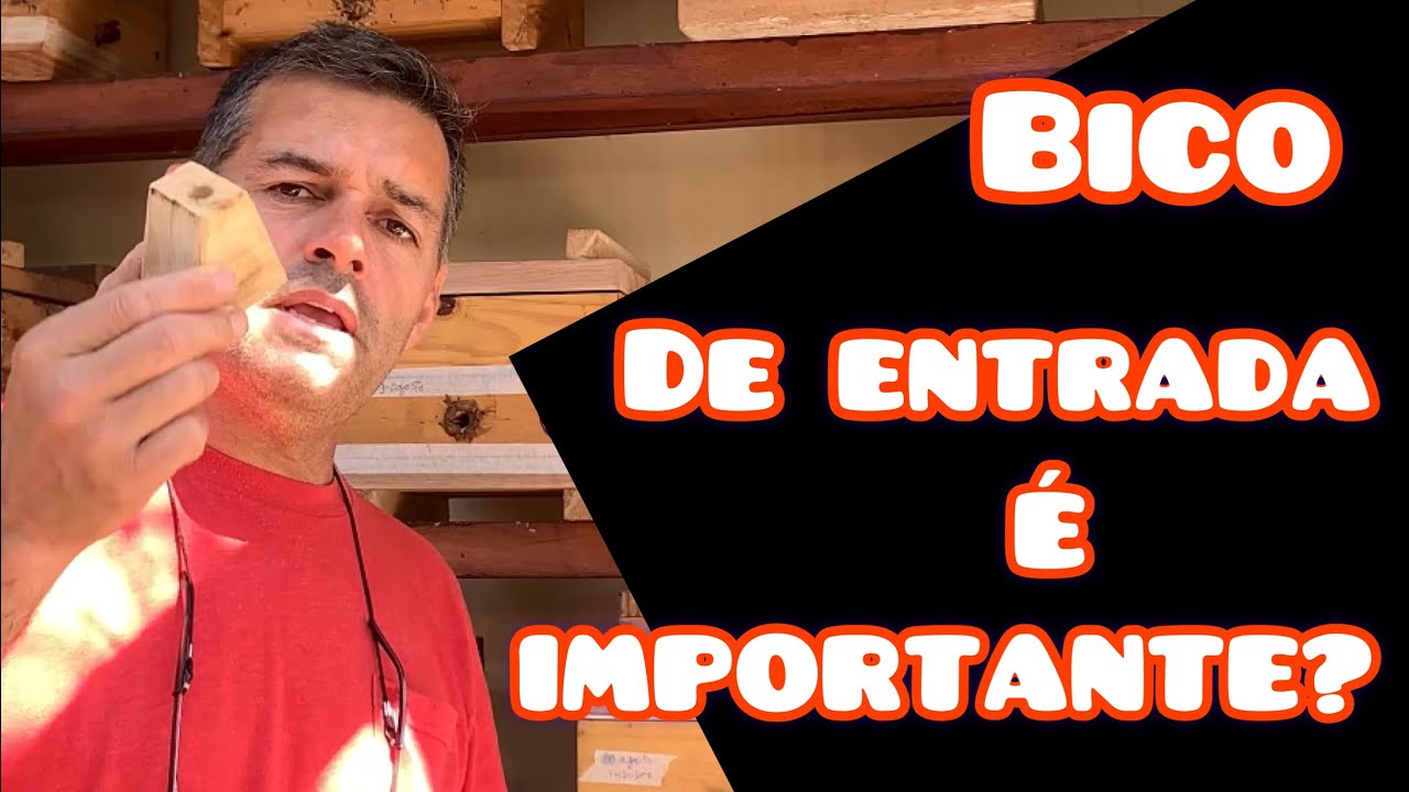 Divisão de mandaçaia com bico de entrada