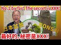 【No.1 Pine Bonsai production area "Takamatsu"】The Secret is XXX!!!