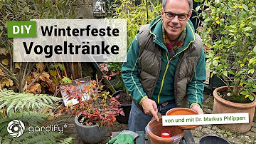 Warum kommen keine Vögel an die Vogeltränke?