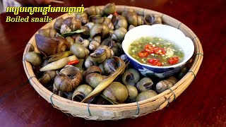 របៀបស្ងោរខ្ចៅអោយឆ្ងាញ់ boiled snails | SChFood