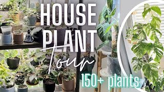 HOUSEPLANT TOUR 2022 | My Entire 150  Plant Collection | Martin-Made TV