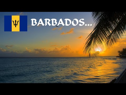 Video: Sono Abbastanza Pazienti Per Tutti!: Opinioni Delle Parti Interessate Locali Sull'attrazione Dei Pazienti Nei Settori Emergenti Del Turismo Medico Delle Barbados E