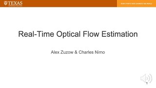 Real Time Optical Flow Estimation