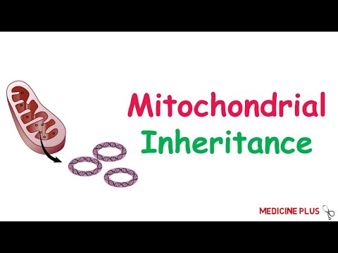 Video: Kvantifikace Chůze U Pacientů S Mitochondrií M.3243A> G: Validační Studie