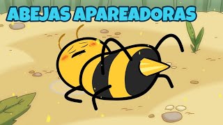Abejas Apareantes - Animación Pilación Español