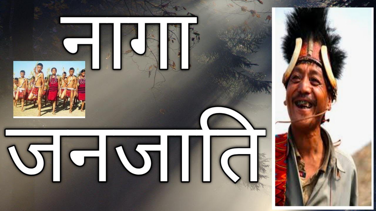 नागा जनजाति Naga Janjati Naga Tribe in Nagalaind YouTube