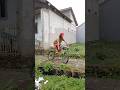 while riding a drag bike there was someone on the road #comedy