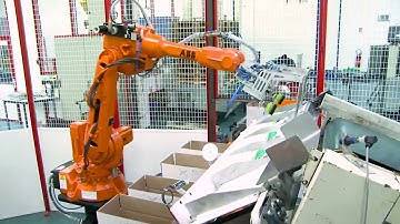 Case Packer for Bags and Pouches