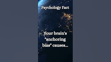 Your brain