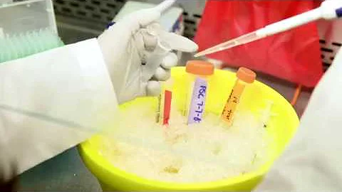 Engineering Career Exploration: Biomedical Engineering