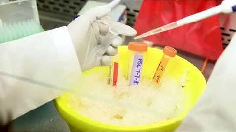 Engineering Career Exploration: Biomedical Engineering