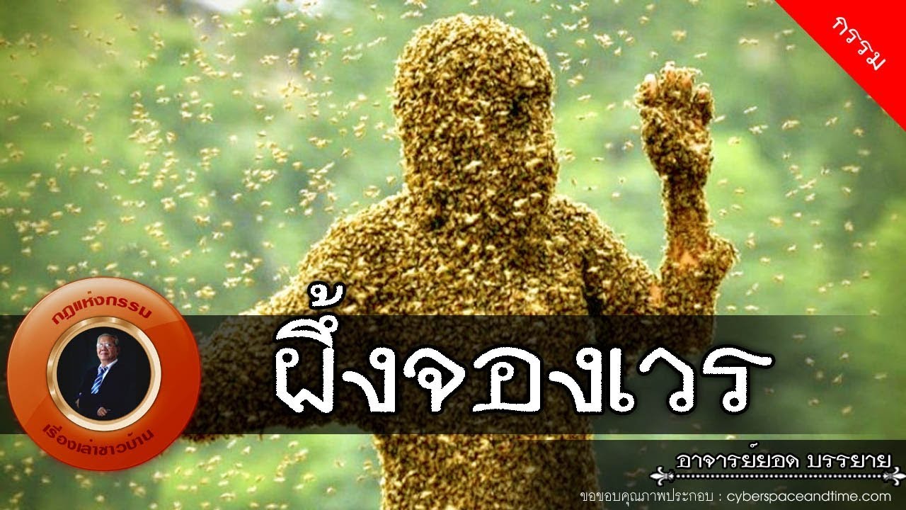 อาจารย์ยอด : ผึ้งจองเวร [กรรม]