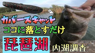 【琵琶湖バス釣り】琵琶湖最強ワームは投げて放置するだけでデカバス！大人気ワームカバースキャットの実釣編今月4インチ発売前に3.5インチで釣り方おさらい！琵琶湖北湖東岸の内湖でオカッパリバスフィッシング