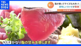 食品の値上げが相次ぐ中でカツオがうれしい“異例の豊漁”水揚げ25倍で大きく脂もノリノリとお買い得 その理由は？｜TBS NEWS DIG