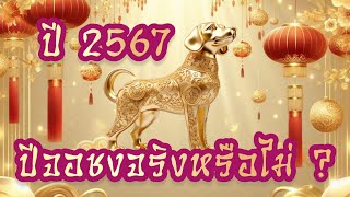 ปี 2567 ปีจอ ชง จริงหรือ?