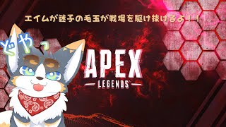 エイムが迷子の毛玉のエペ『APEX』