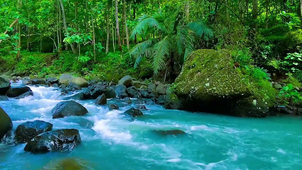 Nature's Calm - Sleep Like a Baby – This Forest Stream Sound Is a Total Game Changer - Deep Sleep