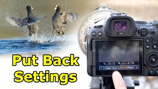 Bird Photography - 5 Simple Tips for Better Photos by Paul Miguel Photography 9,958 views 3 months ago 5 minutes, 59 seconds