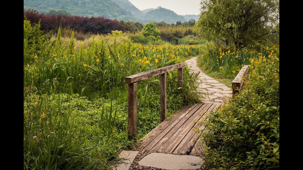 Searching for the Holy with Rev. Dr. Peter Luckey