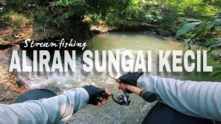 Berburu Ikan Hampala di Aliran Sungai Kecil Perbatasan Bekasi