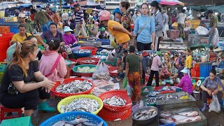 Cambodian Fish Market Scene in The Morning  The Best Site Distribute Dry Fish, Alive Fish, Seafood