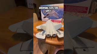 Mini j35 RC PLANE ready to fly!! #fx9631 #feixiong #f22fromwish #fc31 #viralrc #newrelease