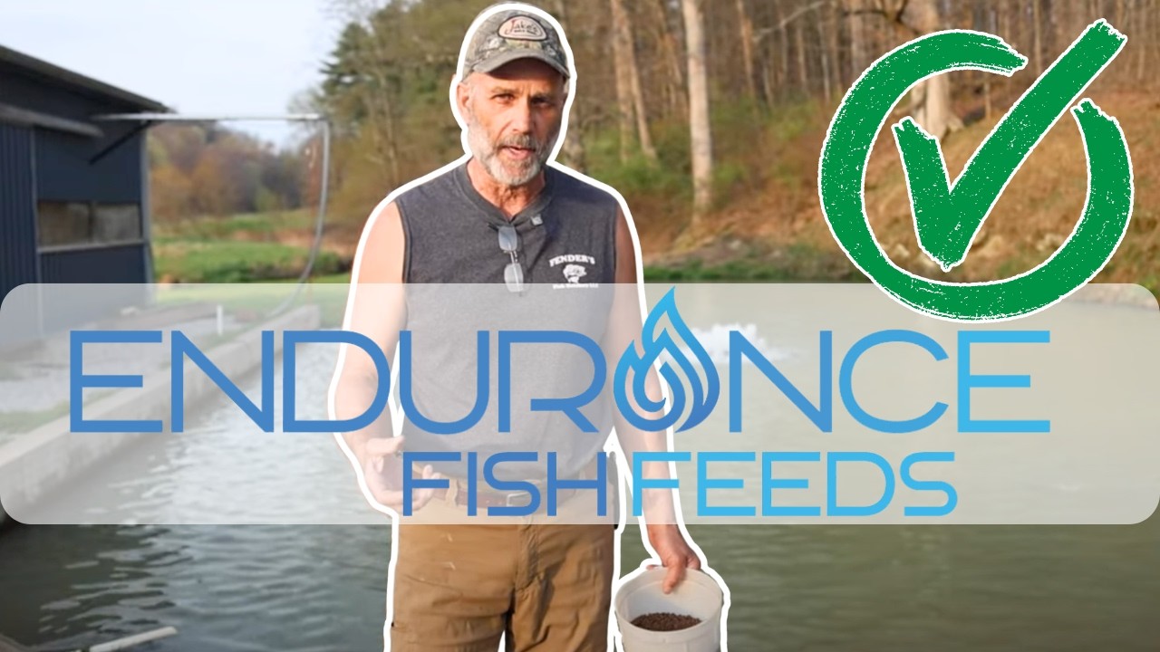 What Fish Feed Do We Recommennd?