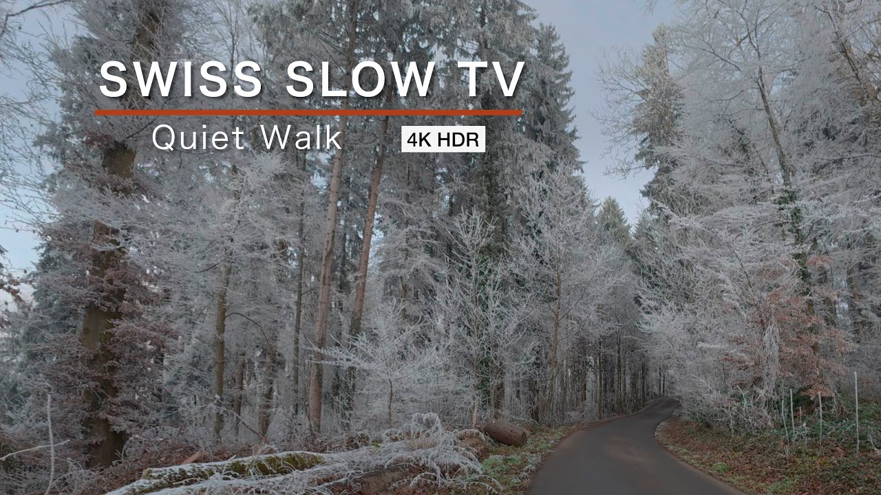 Frozen Silence: Magical Winter Forest Walk | Swiss Slow TV 4K HDR ASMR
