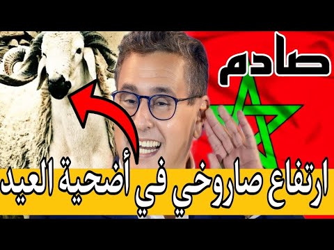 شاهد حقيقة الإرتفاع الصاروخي الذي شهدته أضحية العيد بالمغرب قبل قليل