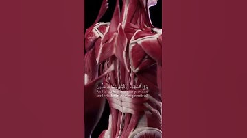 وفي الأرض آياتٌ للموقنين* وفي أنفسكم أفلا تُبصِرون* وفي السماء رزقكم وما توعدون