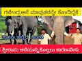     gajendra elephaht killed that mahut  mysure gajendra