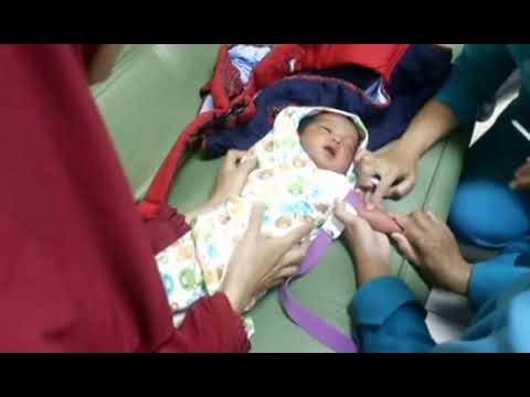 Video: Cara Mengambil Darah Dari Urat Dari Bayi