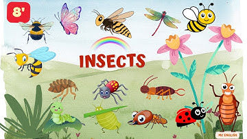 Học Tiếng Anh Côn Trùng Cho Trẻ - Từ Vựng Insects Chuẩn Phát Âm | MCENGLISH