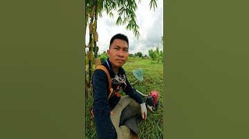 ตัดหญ้าในโคกหนองนา วันธรรมดาที่สุขใจ