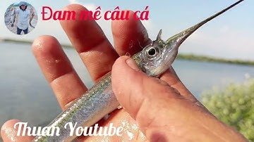 CÂU CÁ NÂU / BÀ RỊA VŨNG TÀU (Tập 7) @thuanyoutube20484