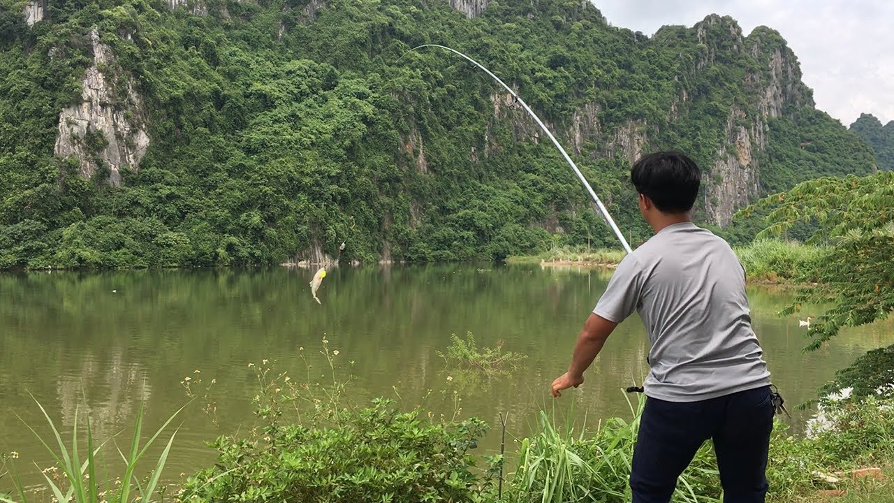 🚙Du câu hồ Quan Sơn vừa được cá lại được ngắm cảnh đẹp 🎯🎯🎯
