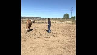 Madison Moore, Yotee Update