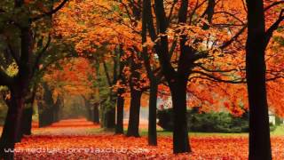 Download Lagu Autumn Sleep Songs for Afternoon Naptime | Best Relaxing Music Sleep MP3