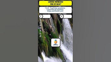 Test Your Brain With These Fun True or False Facts!