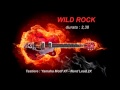 Wild Rock (My song).