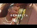 Dancehall Shatta Instrumental "SENORITA" (PROD.ALBREY)