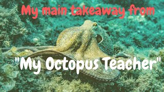 My Takeaway From My Octopus Teacher