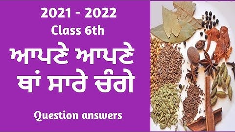 Class 6 Punjabi chapter 2 Questions Answers | Change your saare | Punjabi class 6 lesson 2