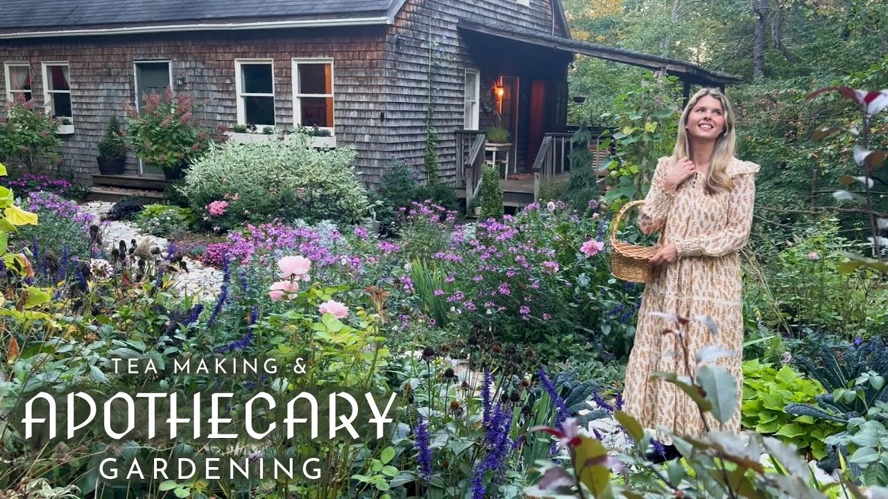 Аптекарское садоводство: сбор и заваривание травяного чая, а также обучение гунфу ча у мастера-пи...