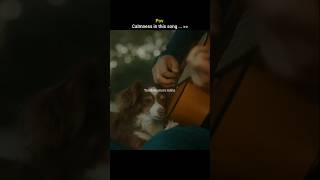 Download Lagu Tumse Behtar 🤍 by Arijit Singh 🌹🥀#emotionalshorts#song#shorts#trending#lovesong#feelthemusic#yt MP3